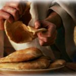 O pão da multidão e a voz da Igreja